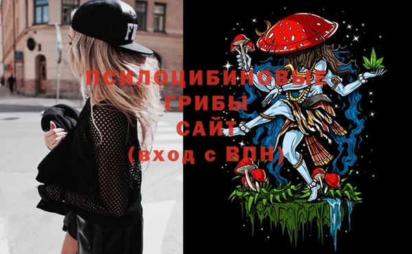 марки nbome Ельня